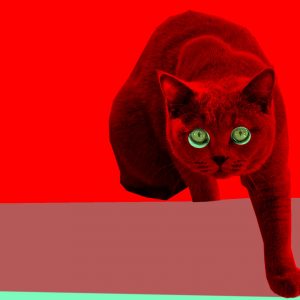Love Squad Ausstellung liebe Katze Tanja Kischel München