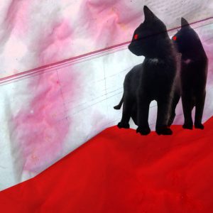 Love Squad Ausstellung liebe Katze Tanja Kischel München