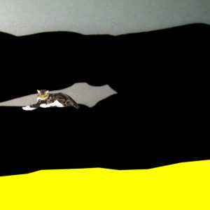 Love Squad Ausstellung liebe Katze Tanja Kischel München
